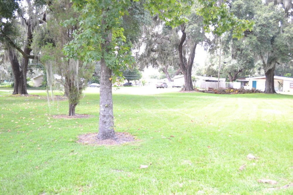 1625 N Carpenter Ave, Bartow, FL 33830